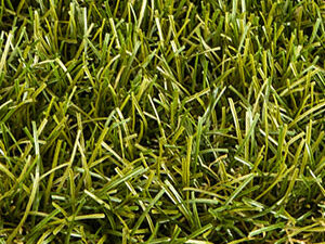 Artificial Grass 40mm